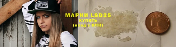 ГАЛЛЮЦИНОГЕННЫЕ ГРИБЫ Алексин