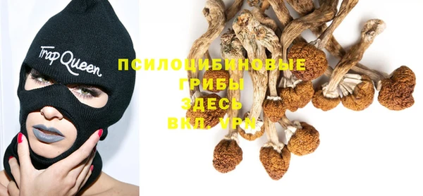 прущие крисы Саяногорск