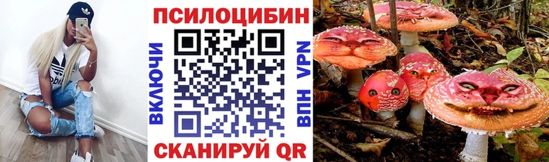 закладка  Изобильный  Псилоцибиновые грибы ЛСД 